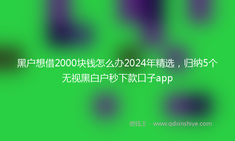 黑户想借2000块钱怎么办2024年精选，归纳5个无视黑白户秒下款口子app