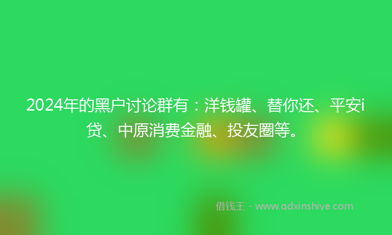 2024年的黑户讨论群有：洋钱罐、替你还、平安i贷、中原消费金融、投友圈等。