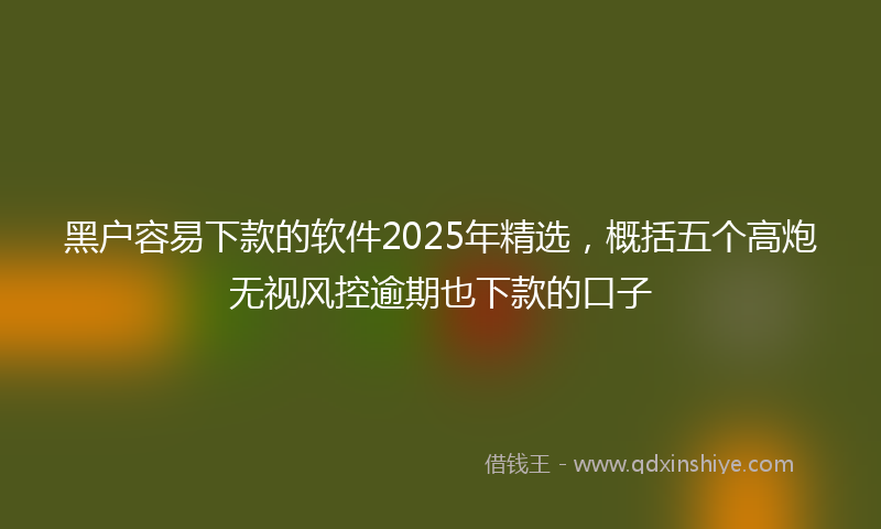 黑户容易下款的软件2025年精选，概括五个高炮无视风控逾期也下款的口子