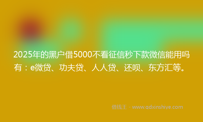 2025年的黑户借5000不看征信秒下款微信能用吗有：e微贷、功夫贷、人人贷、还呗、东方汇等。