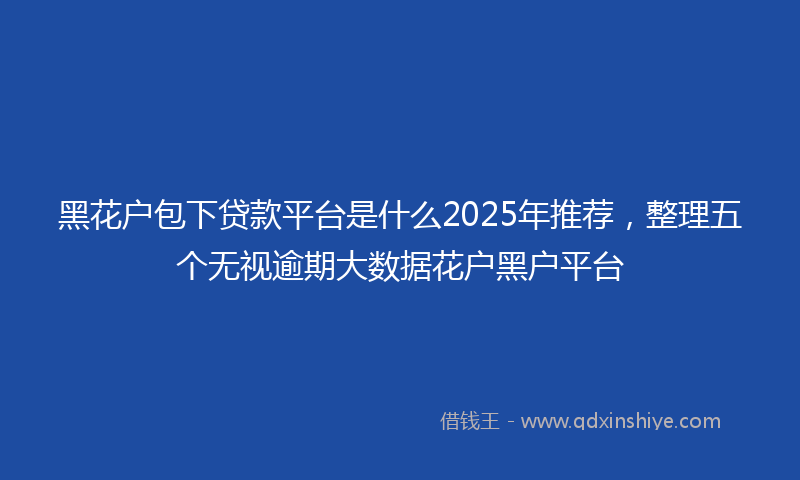 黑花户包下贷款平台是什么2025年推荐，整理五个无视逾期大数据花户黑户平台
