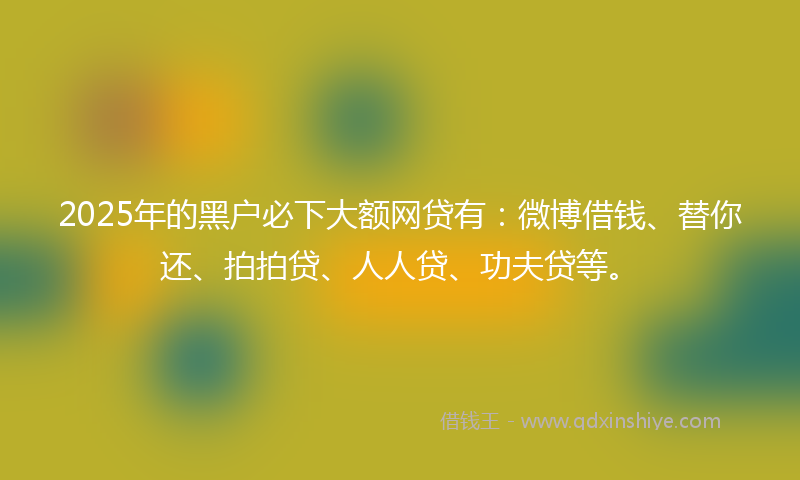 2025年的黑户必下大额网贷有：微博借钱、替你还、拍拍贷、人人贷、功夫贷等。