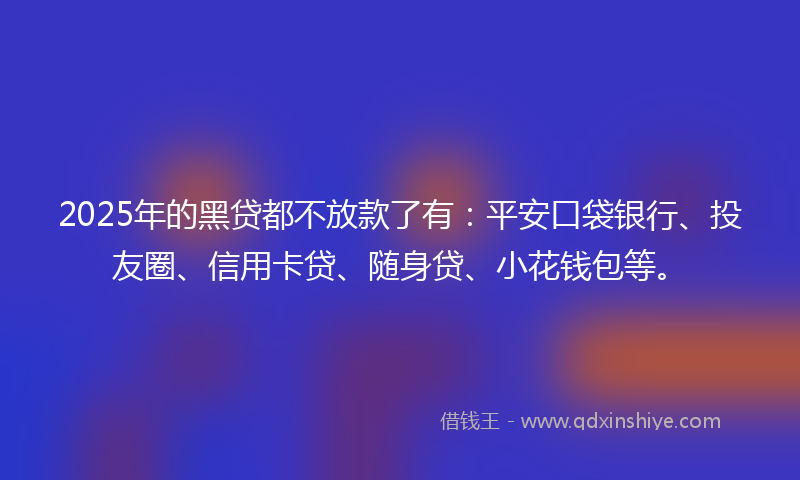2025年的黑贷都不放款了有：平安口袋银行、投友圈、信用卡贷、随身贷、小花钱包等。