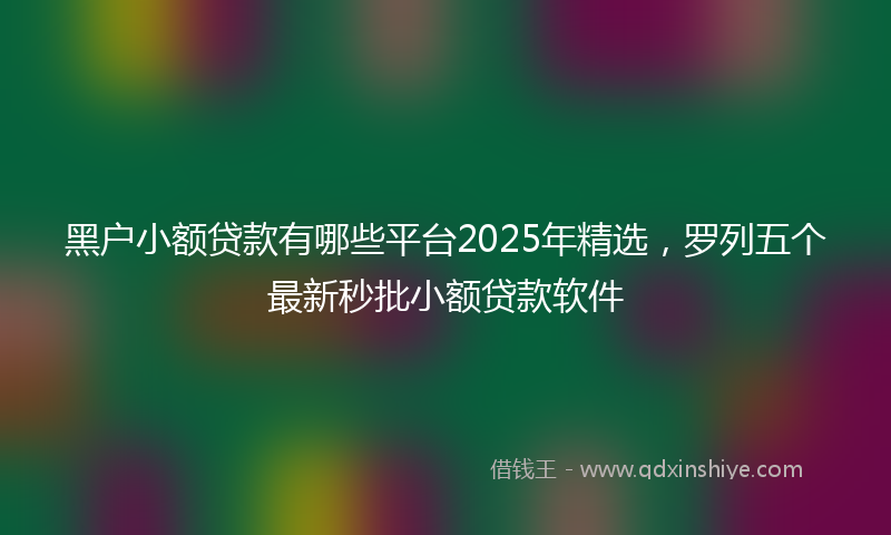 黑户小额贷款有哪些平台2025年精选，罗列五个最新秒批小额贷款软件