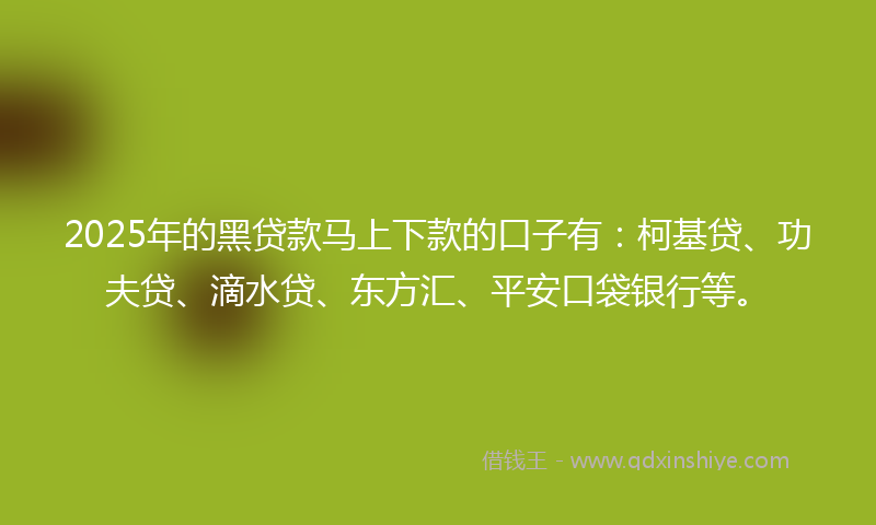 2025年的黑贷款马上下款的口子有：柯基贷、功夫贷、滴水贷、东方汇、平安口袋银行等。