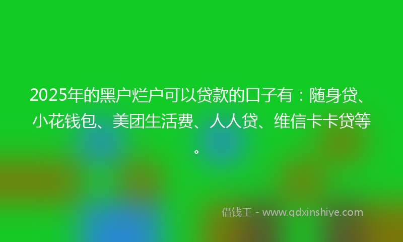 2025年的黑户烂户可以贷款的口子有：随身贷、小花钱包、美团生活费、人人贷、维信卡卡贷等。