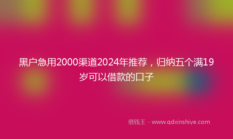 黑户急用2000渠道2024年推荐，归纳五个满19岁可以借款的口子
