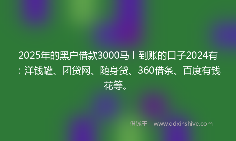 2025年的黑户借款3000马上到账的口子2024有：洋钱罐、团贷网、随身贷、360借条、百度有钱花等。