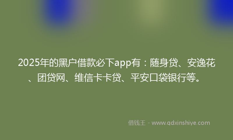 2025年的黑户借款必下app有：随身贷、安逸花、团贷网、维信卡卡贷、平安口袋银行等。
