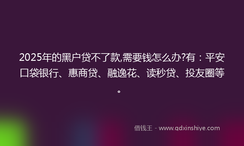 2025年的黑户贷不了款,需要钱怎么办?有：平安口袋银行、惠商贷、融逸花、读秒贷、投友圈等。