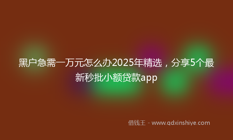黑户急需一万元怎么办2025年精选，分享5个最新秒批小额贷款app