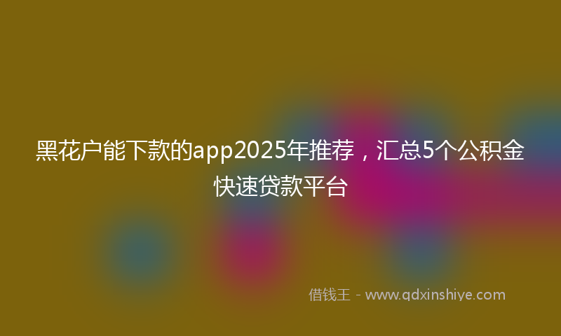 黑花户能下款的app2025年推荐，汇总5个公积金快速贷款平台