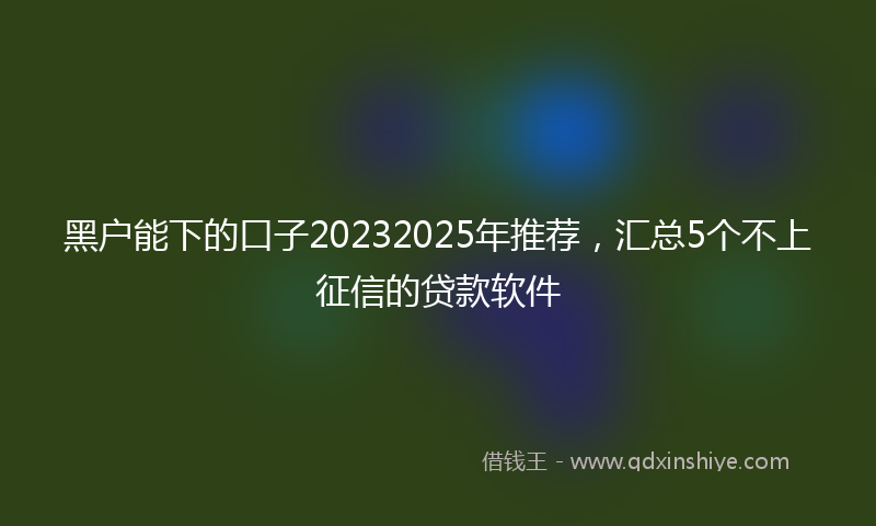 黑户能下的口子20232025年推荐，汇总5个不上征信的贷款软件