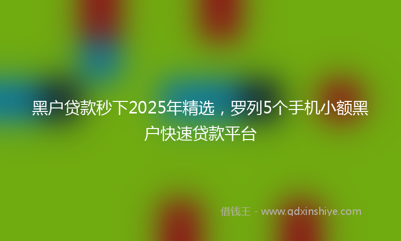 黑户贷款秒下2025年精选，罗列5个手机小额黑户快速贷款平台