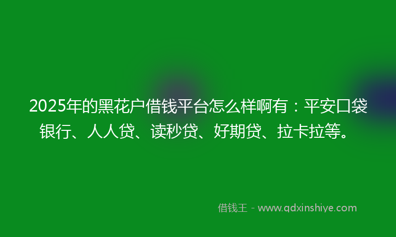 2025年的黑花户借钱平台怎么样啊有：平安口袋银行、人人贷、读秒贷、好期贷、拉卡拉等。