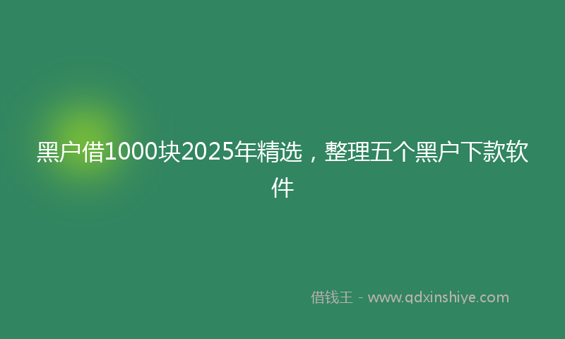 黑户借1000块2025年精选，整理五个黑户下款软件