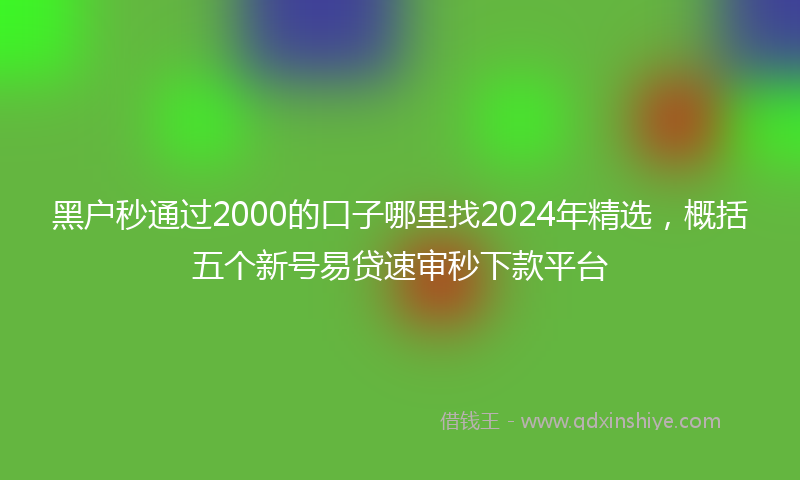 黑户秒通过2000的口子哪里找2024年精选，概括五个新号易贷速审秒下款平台