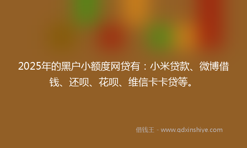 2025年的黑户小额度网贷有：小米贷款、微博借钱、还呗、花呗、维信卡卡贷等。