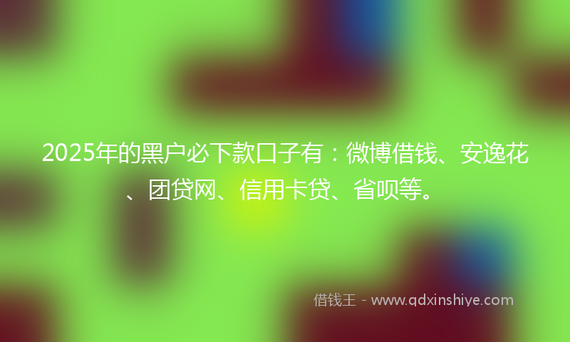 2025年的黑户必下款口子有：微博借钱、安逸花、团贷网、信用卡贷、省呗等。