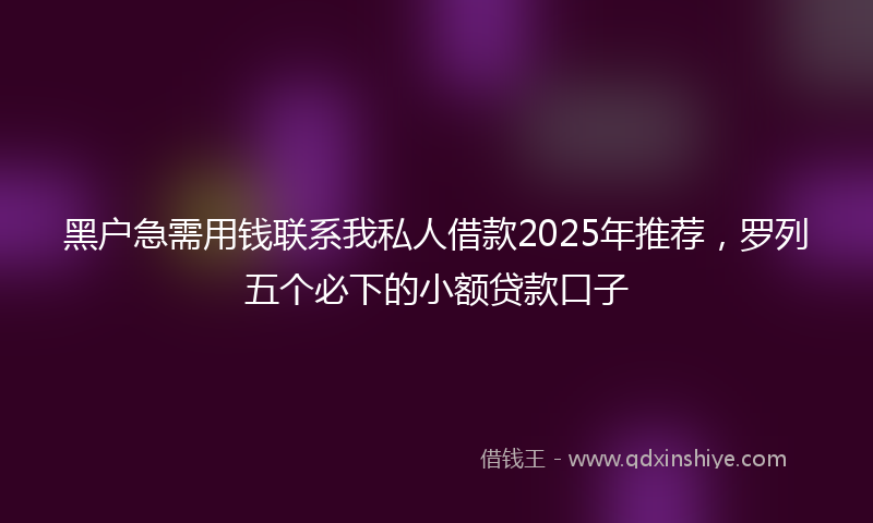 黑户急需用钱联系我私人借款2025年推荐，罗列五个必下的小额贷款口子
