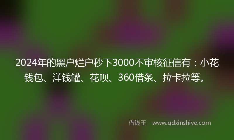 2024年的黑户烂户秒下3000不审核征信有：小花钱包、洋钱罐、花呗、360借条、拉卡拉等。