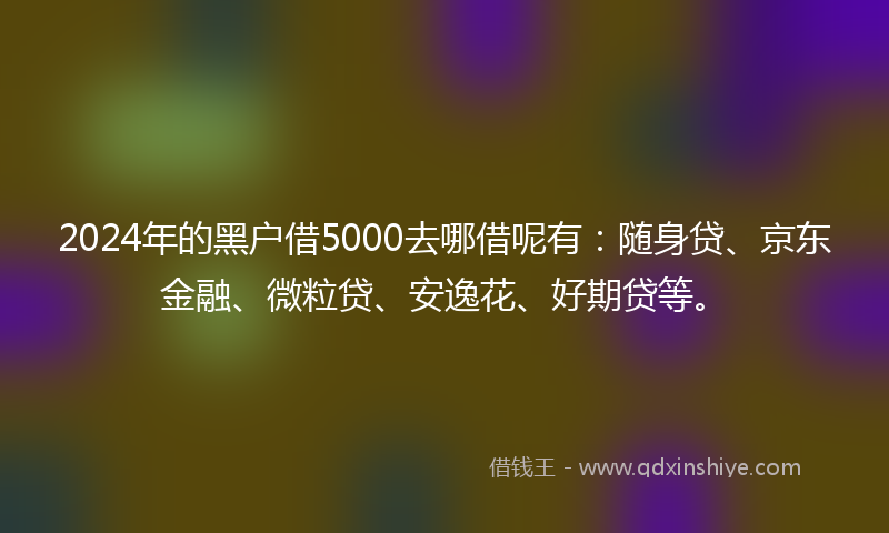 2024年的黑户借5000去哪借呢有：随身贷、京东金融、微粒贷、安逸花、好期贷等。