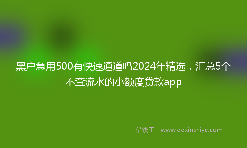 黑户急用500有快速通道吗2024年精选，汇总5个不查流水的小额度贷款app