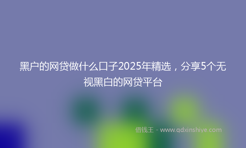 黑户的网贷做什么口子2025年精选，分享5个无视黑白的网贷平台