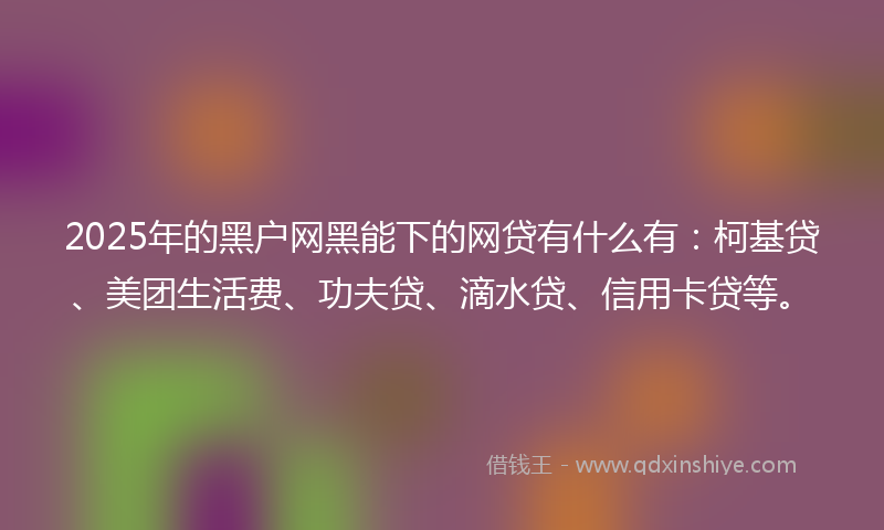 2025年的黑户网黑能下的网贷有什么有：柯基贷、美团生活费、功夫贷、滴水贷、信用卡贷等。