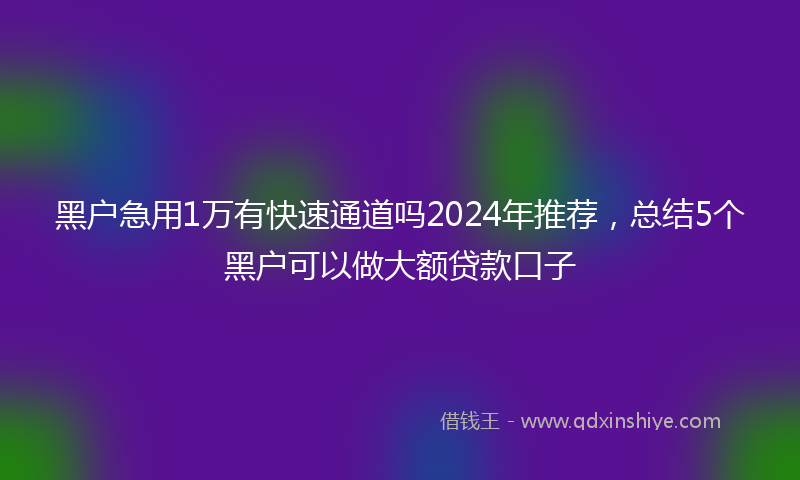 黑户急用1万有快速通道吗2024年推荐，总结5个黑户可以做大额贷款口子