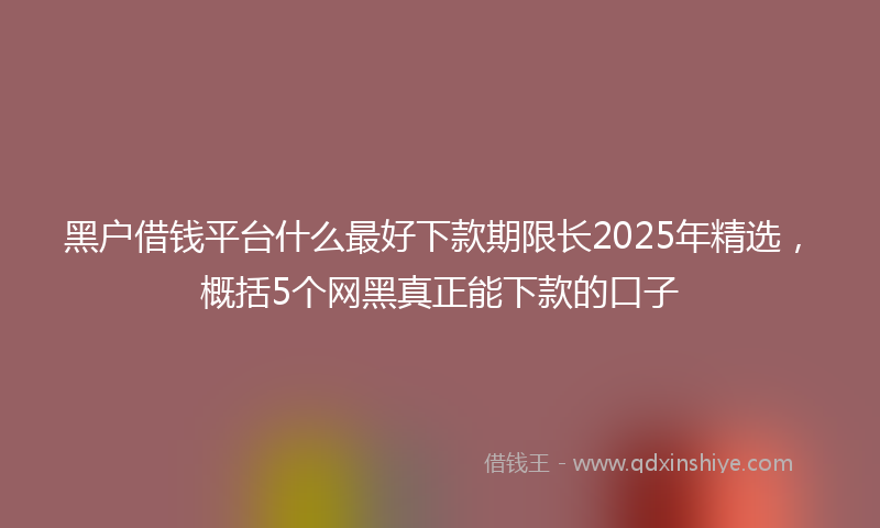 黑户借钱平台什么最好下款期限长2025年精选，概括5个网黑真正能下款的口子