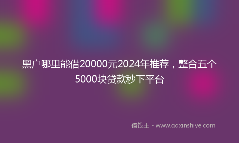 黑户哪里能借20000元2024年推荐，整合五个5000块贷款秒下平台