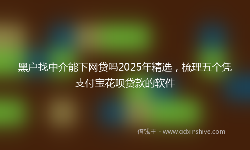 黑户找中介能下网贷吗2025年精选，梳理五个凭支付宝花呗贷款的软件