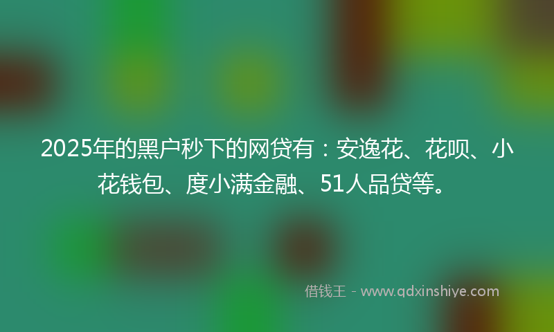 2025年的黑户秒下的网贷有：安逸花、花呗、小花钱包、度小满金融、51人品贷等。