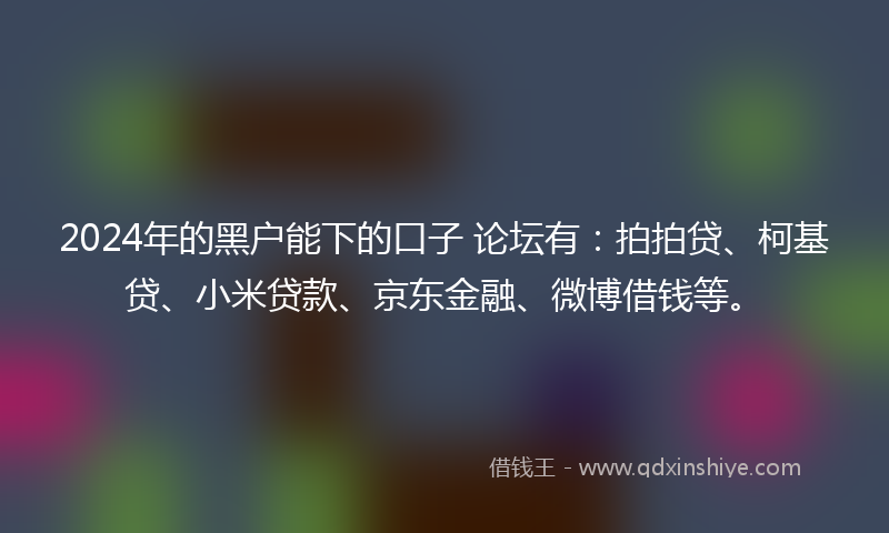 2024年的黑户能下的口子 论坛有：拍拍贷、柯基贷、小米贷款、京东金融、微博借钱等。