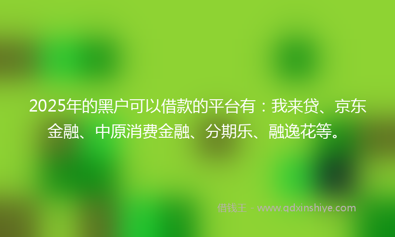 2025年的黑户可以借款的平台有：我来贷、京东金融、中原消费金融、分期乐、融逸花等。