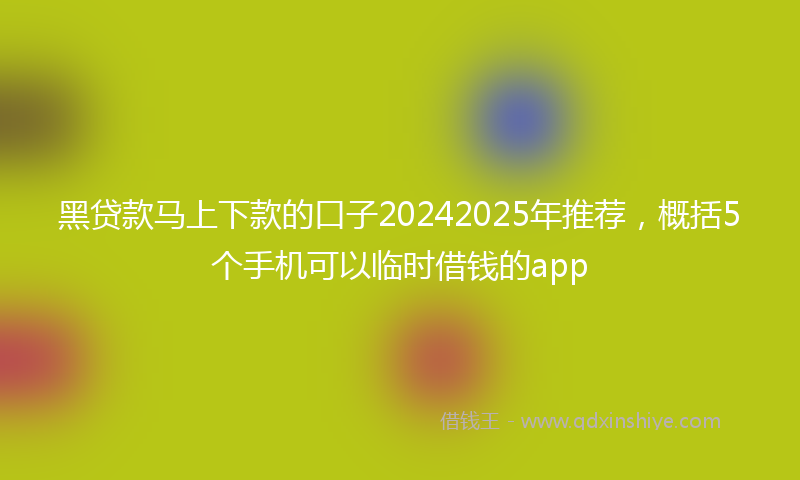 黑贷款马上下款的口子20242025年推荐，概括5个手机可以临时借钱的app