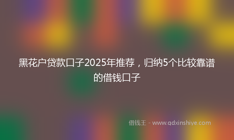 黑花户贷款口子2025年推荐，归纳5个比较靠谱的借钱口子