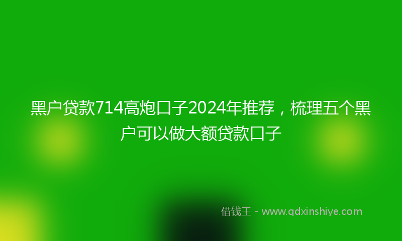 黑户贷款714高炮口子2024年推荐，梳理五个黑户可以做大额贷款口子