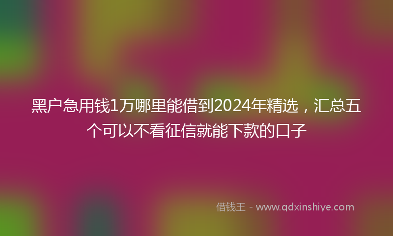 黑户急用钱1万哪里能借到2024年精选，汇总五个可以不看征信就能下款的口子