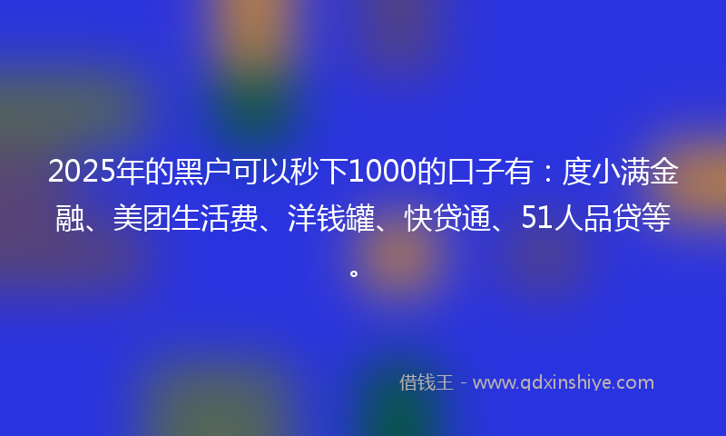 2025年的黑户可以秒下1000的口子有：度小满金融、美团生活费、洋钱罐、快贷通、51人品贷等。