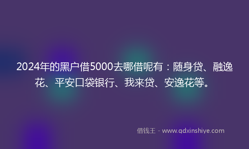 2024年的黑户借5000去哪借呢有：随身贷、融逸花、平安口袋银行、我来贷、安逸花等。