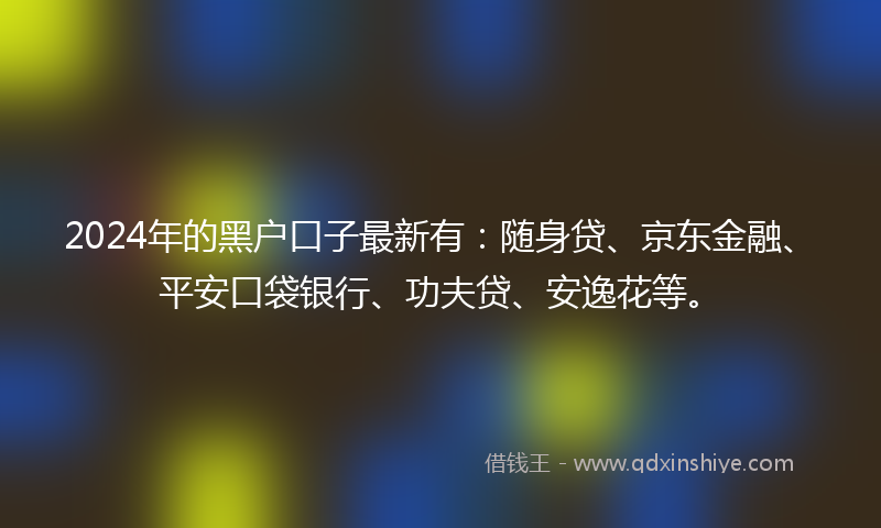 2024年的黑户口子最新有：随身贷、京东金融、平安口袋银行、功夫贷、安逸花等。