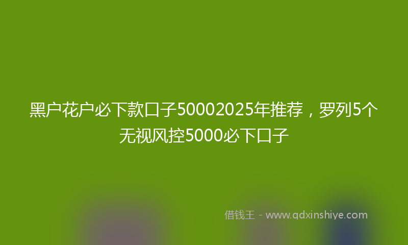 黑户花户必下款口子50002025年推荐，罗列5个无视风控5000必下口子