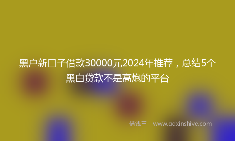 黑户新口子借款30000元2024年推荐，总结5个黑白贷款不是高炮的平台