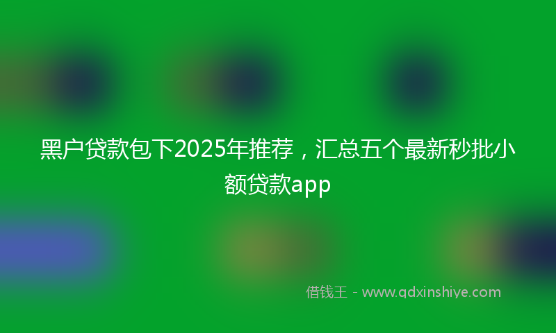 黑户贷款包下2025年推荐，汇总五个最新秒批小额贷款app