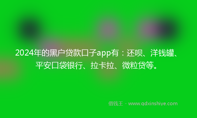 2024年的黑户贷款口子app有：还呗、洋钱罐、平安口袋银行、拉卡拉、微粒贷等。