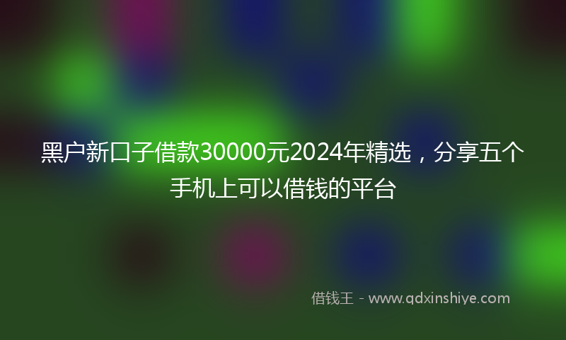 黑户新口子借款30000元2024年精选，分享五个手机上可以借钱的平台
