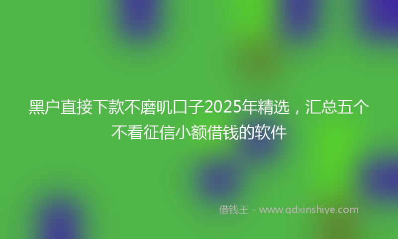 黑户直接下款不磨叽口子2025年精选，汇总五个不看征信小额借钱的软件