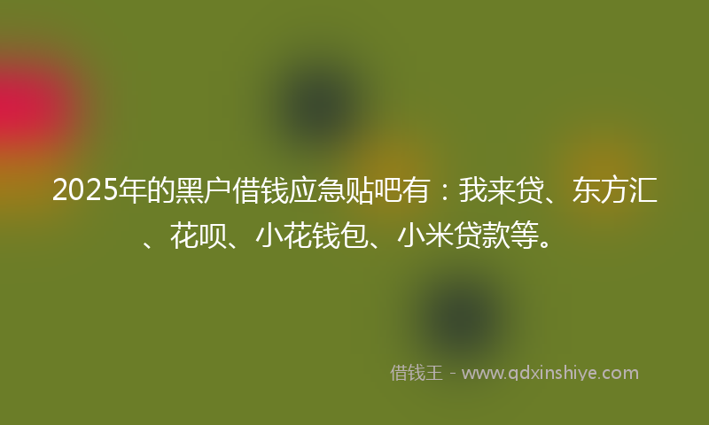 2025年的黑户借钱应急贴吧有：我来贷、东方汇、花呗、小花钱包、小米贷款等。